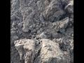 Круглосуточный принимаем грунт в метро