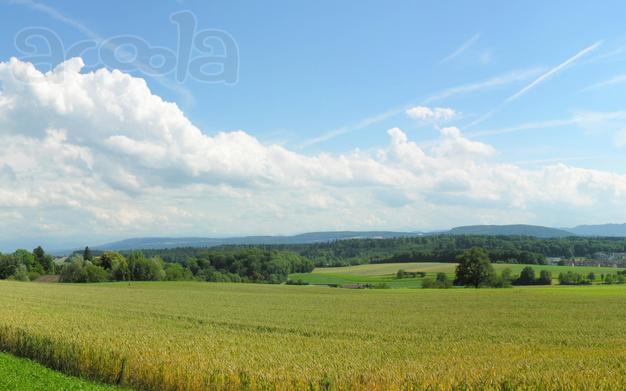 Приму бой кирпича, скол, грунт в большом объёме (бесплатно)
