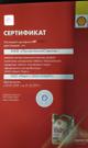 Сваи винтовые оцинкованные 122 мм в наличии