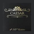 Шелковые текстильные обои Caesar от KT-Exclusive