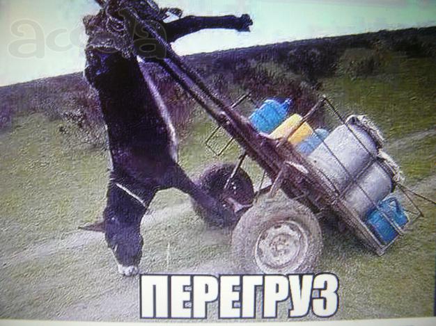 Песко-соль  самовывоз