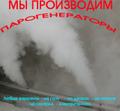 Парогенераторы для пропарочных камер