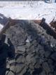 Камень для габионов гравийный