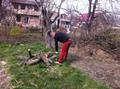 Выполним любые работы на Вашем участке