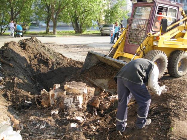 Покос травы, кустарника, корчевание и спил деревьев