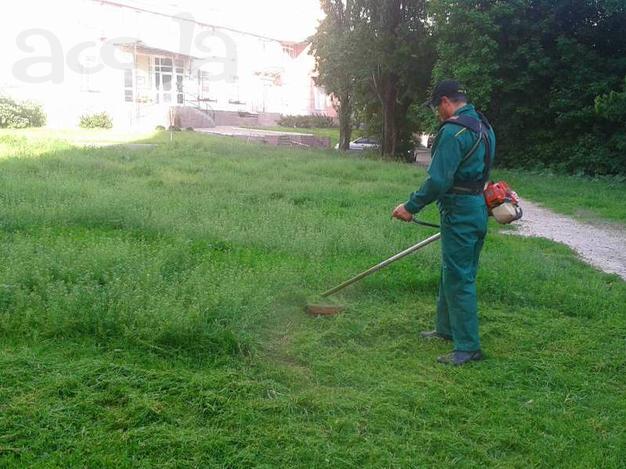 Приведем в порядок ваш участок.