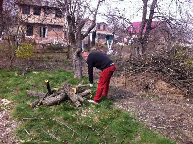 Выполним любые работы на Вашем участке