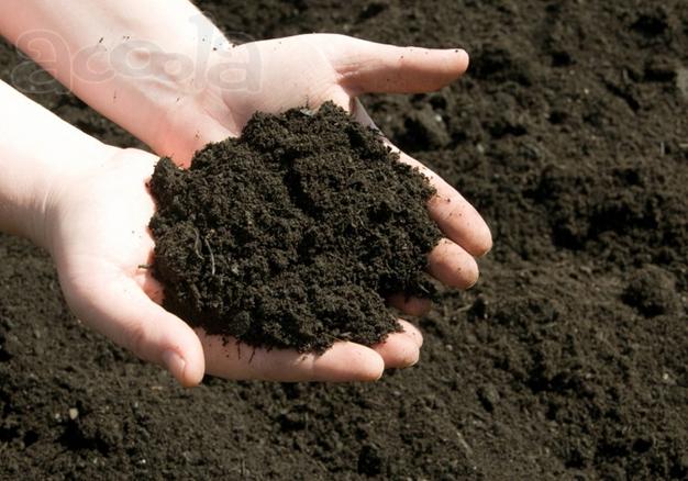 Производство и продажа ПЛОДОРОДНОГО ГРУНТА С ДОСТАВКОЙ