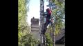 УДАЛЕНИЕ ДЕРЕВЬЕВ ПОД КЛЮЧ  Спил деревьев