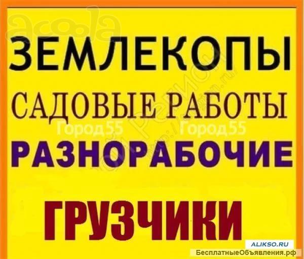 Землекопы. Земляные работы