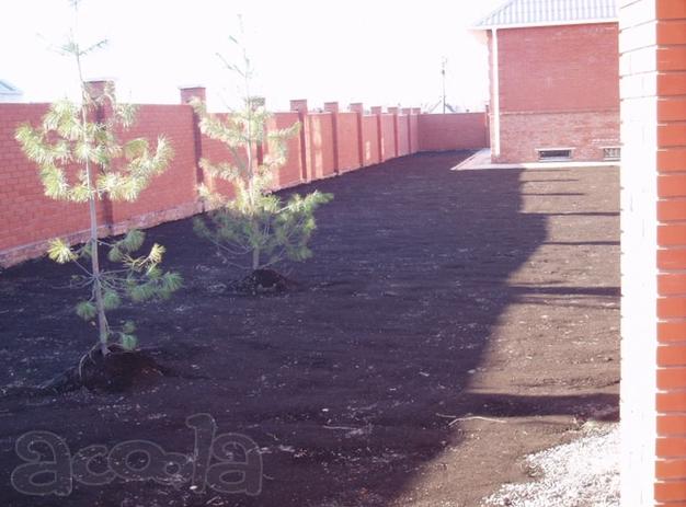 Грунт для газона