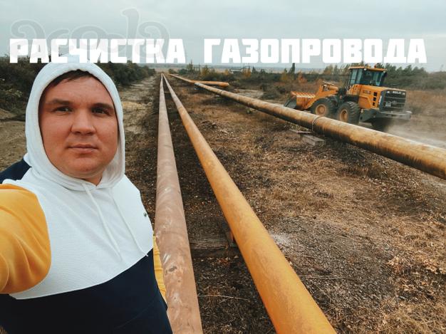 Услуги/Аренда Мульчера. Комплексная расчистка с/х полей. Валка леса. Мульчер бульдозер ООО «Кочевник»