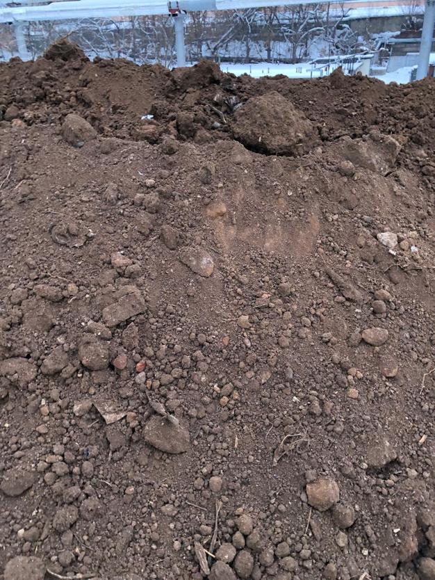 ГРУНТ СРОЧНО! самовывоз 50 руб. м3