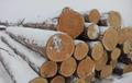 Деловой лес кругляк хвойный самовывоз или доставка