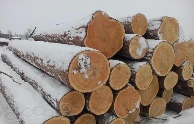 Деловой лес кругляк хвойный самовывоз или доставка