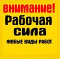 Земельные работы. Спил деревьев