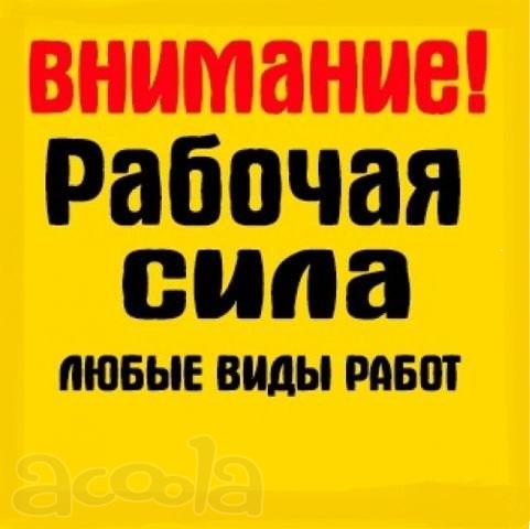Земельные работы. Спил деревьев